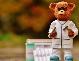 bear-1821463_1280